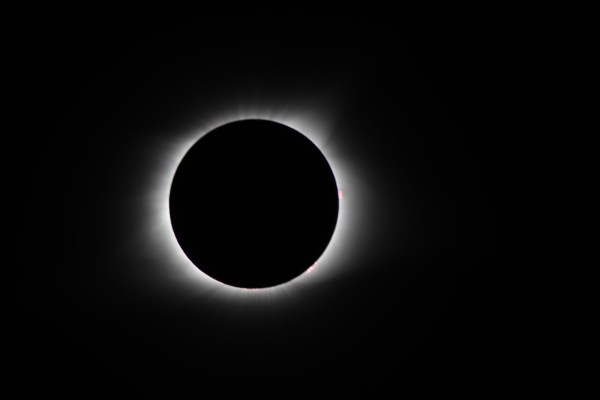 eclipse_0126.jpg